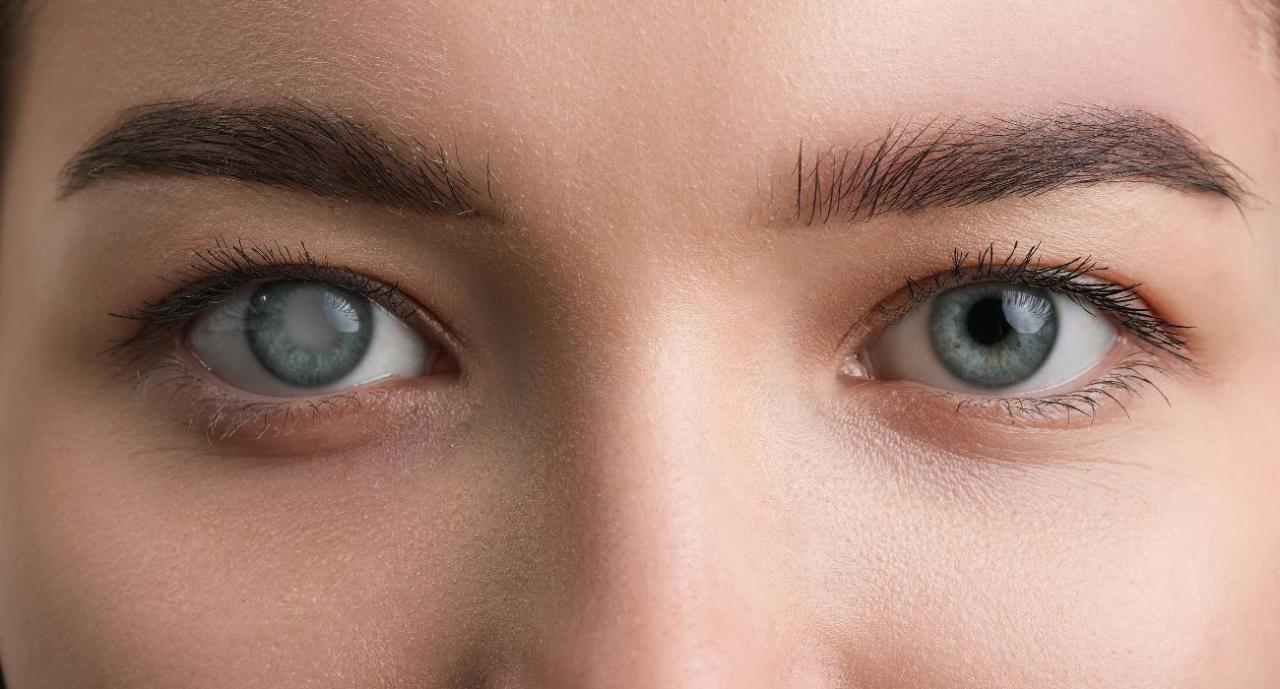 הרצפטור מופעל על ידי התרופה וגורם להתכווצות של הרקמה הספוגית בחלק הקדמי של כדור העין