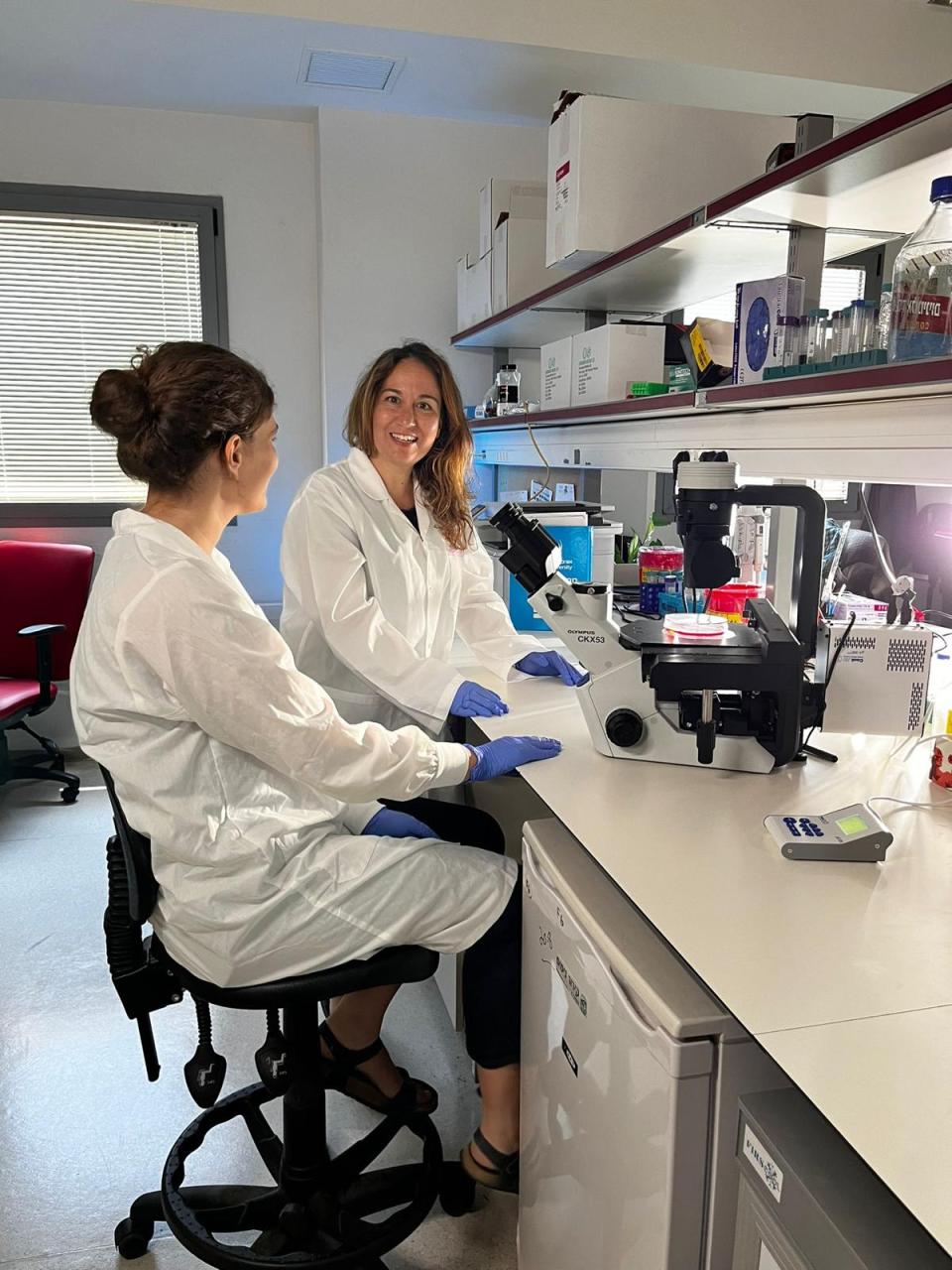 ד"ר רונית אילוז במעבדה, מרכז דנגור, אוניברסיטת בר-אילן