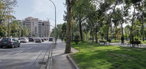 גינה ציבורית לצד כביש ראשי
