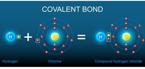 Covalent Bond