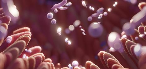 Microbiome intestine factories and microbiota illustration