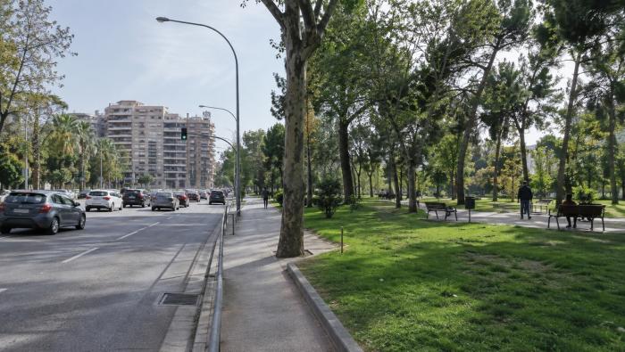 גינה ציבורית לצד כביש ראשי