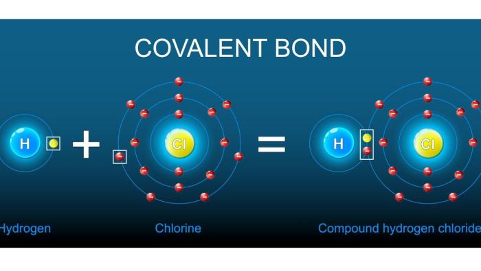 Covalent Bond