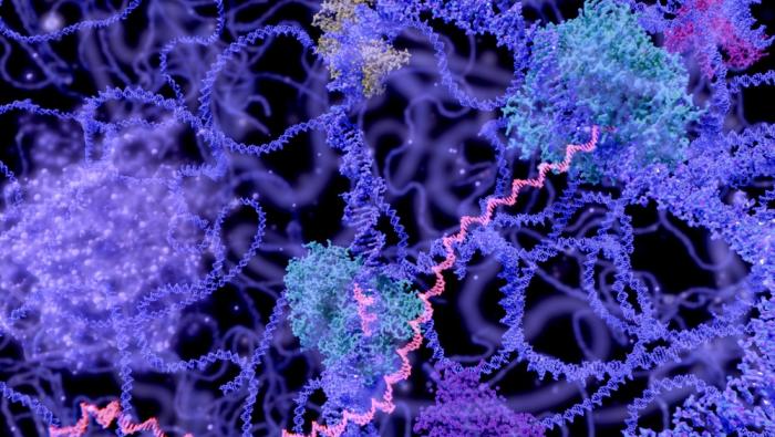 dna-rna illustration in purple