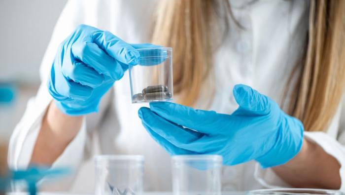 Fecal Microbiota Transplantation (FMT)