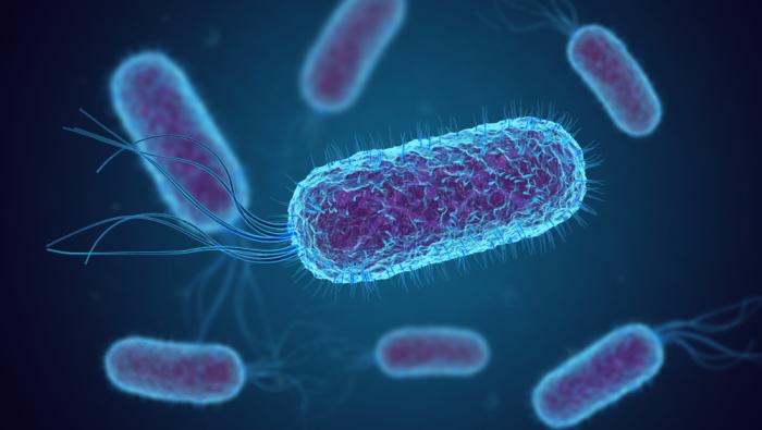blue illustration of bacteria e coli