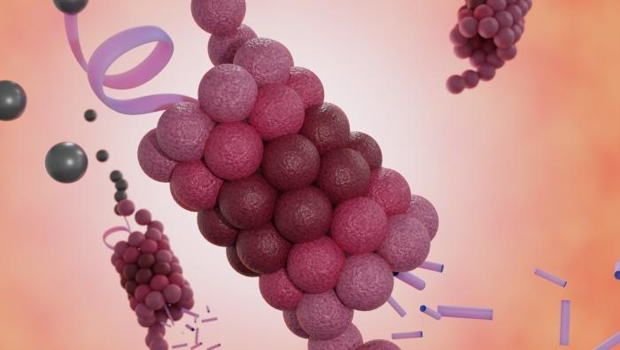 proteasome-collaborate-ubiquitin-protein-degradation