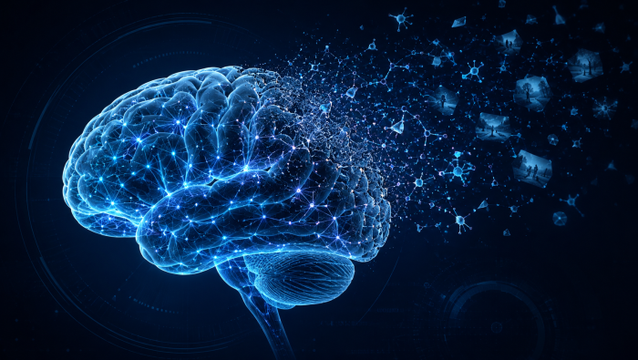 Neurodegenerative Diseases of the Brain and Nervous System